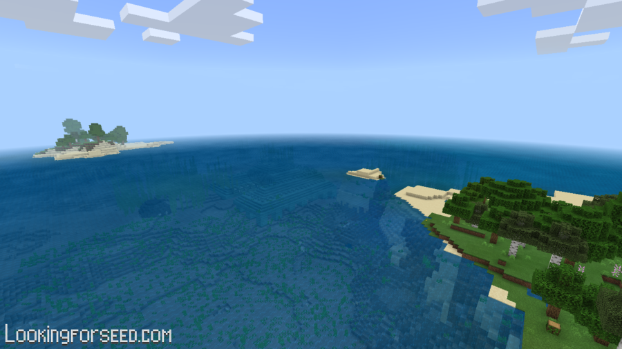 Minecraft Island near Ocean Monument