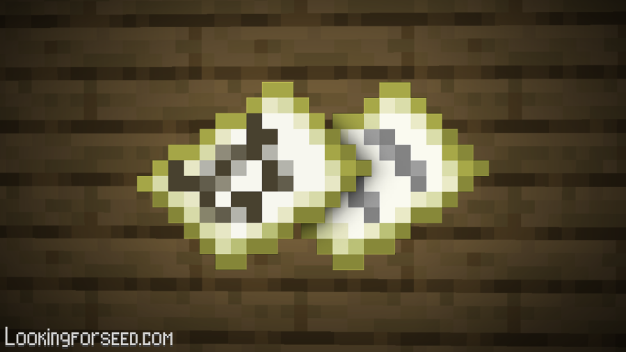Map Minecraft